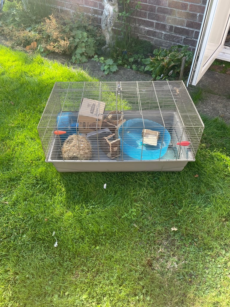 Rat/hamster cage
