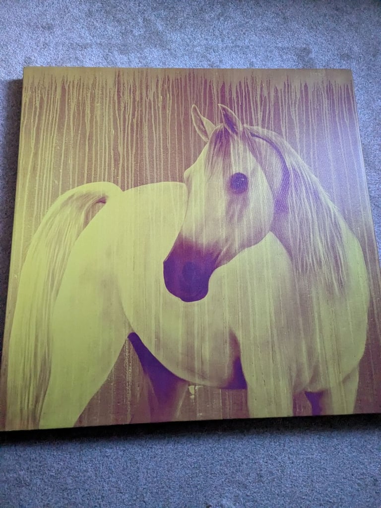 Wall art horse portrait Habitat brand