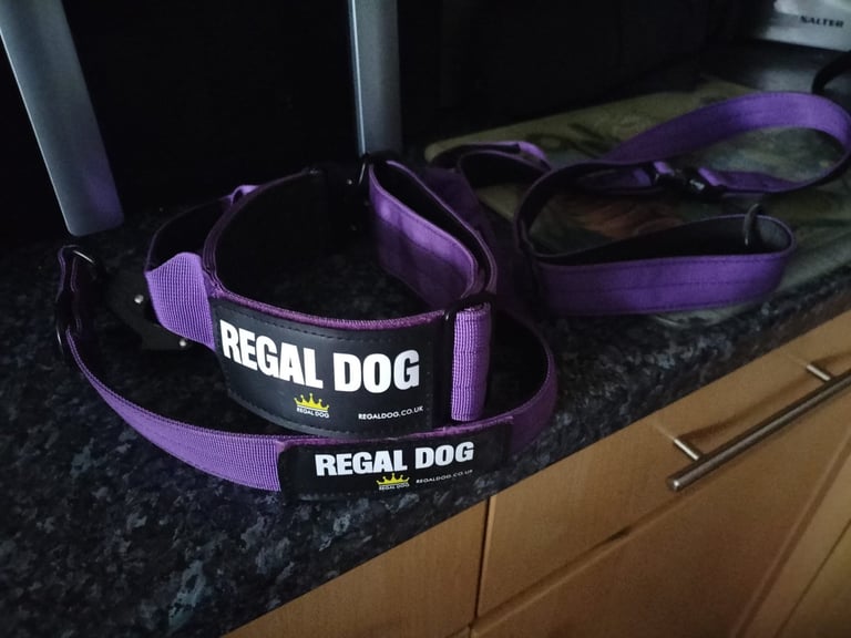 Regal dog collar and lead set 
