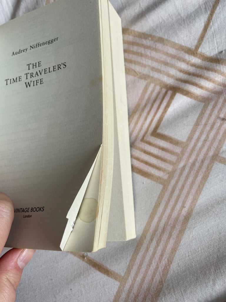 The Time Travellers wife 