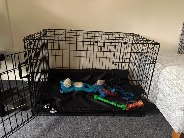 Kong dog crate large 