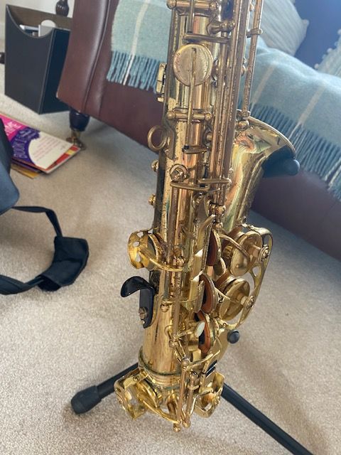 Trevor James 'The Horn' alto saxophone