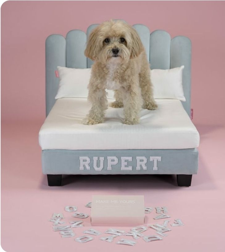 Cat dog bed 