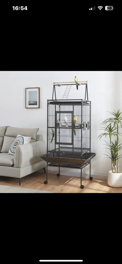 Parrot cage 