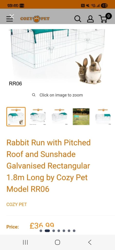 Large Rabbit Run with Pitched roof