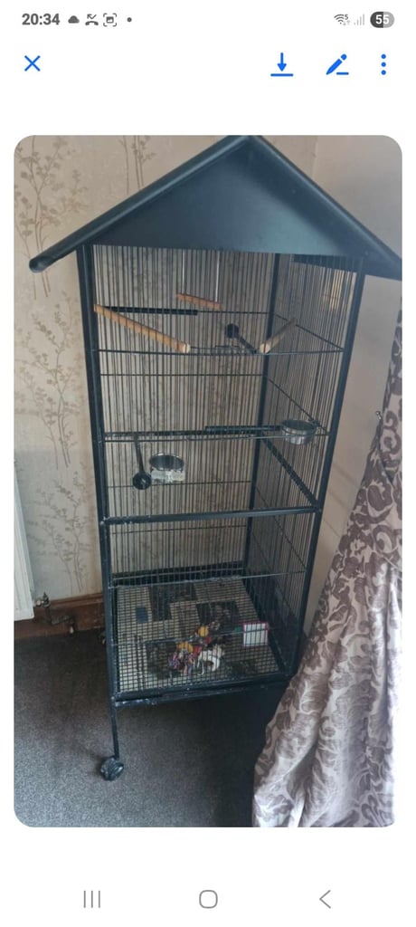 Bitd cage on casters budgie cockatiel small parrot