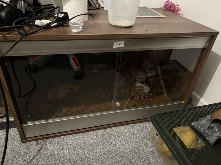 image for Full setups with leopard gecko 
