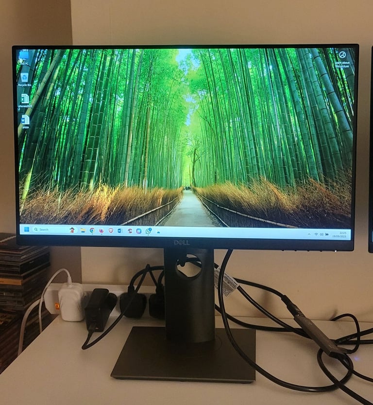 2x Dell Monitors P2219H