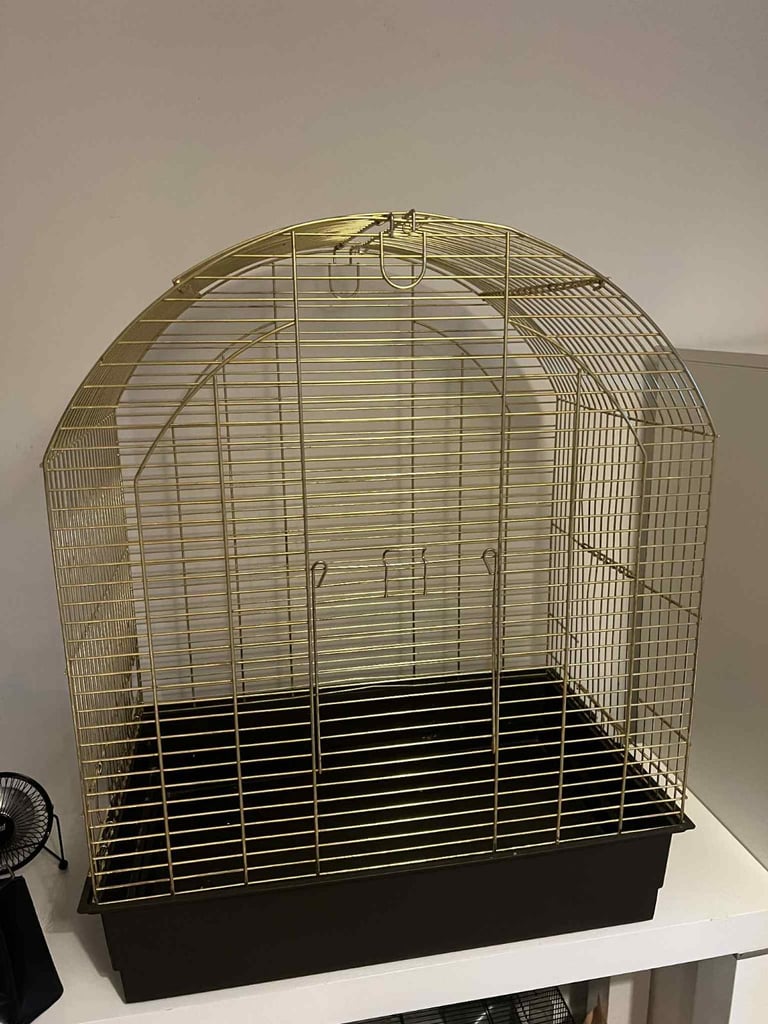 Gold bird cage 
