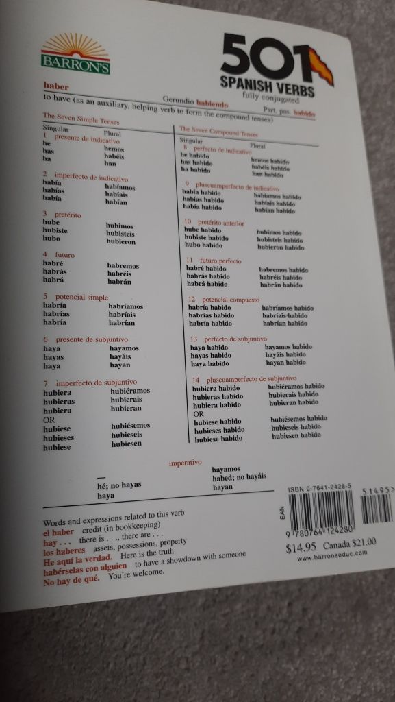 501 SPANISH VERBS GRAMMAR BOOK NEW + 2 free BOOKS
