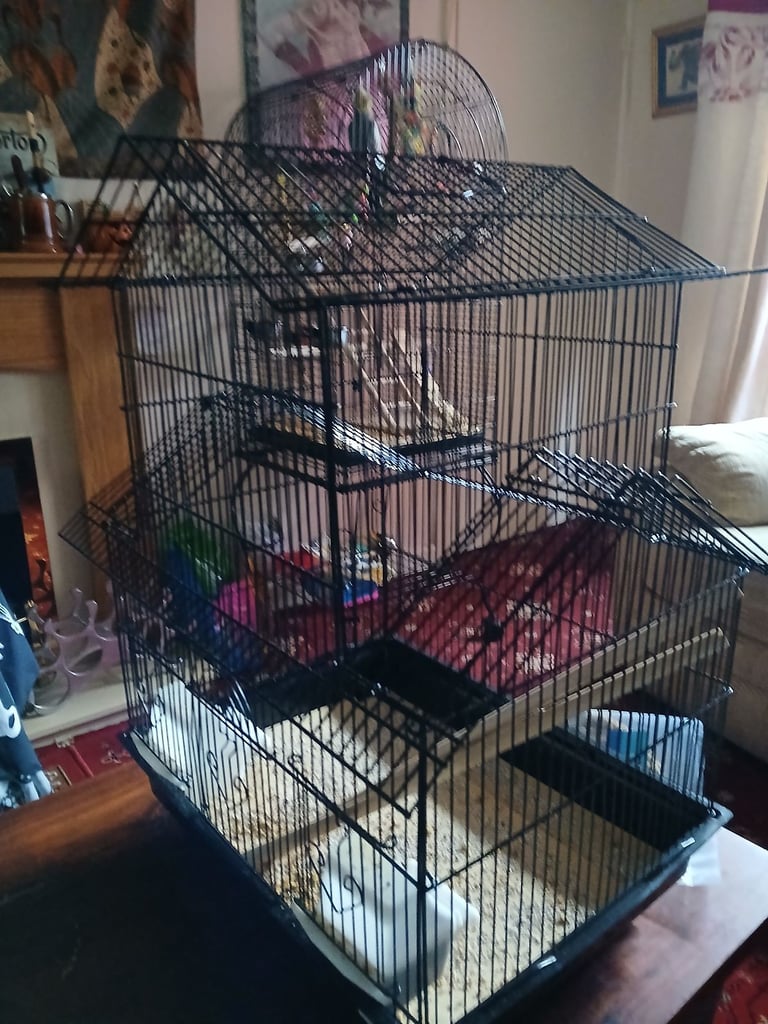 X2 budgie cages