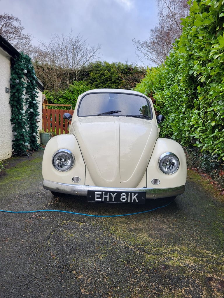 image for 1972 vw beetle