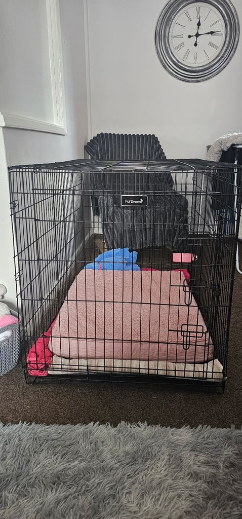 image for XL DOG CRATE 