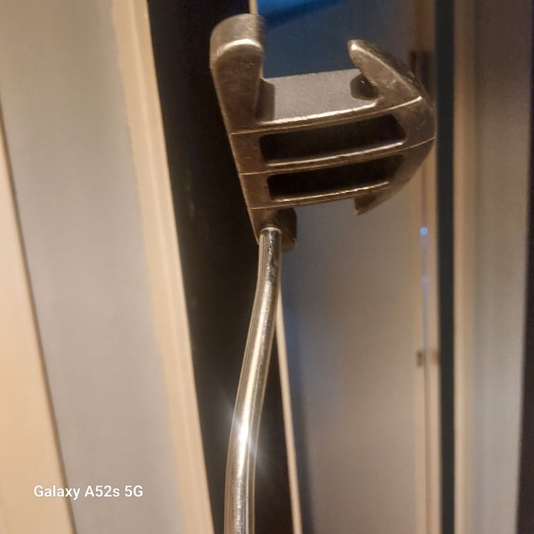 Pro putter