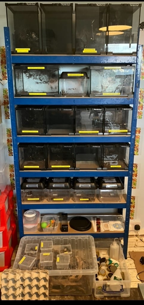 image for Pet Enclosures
