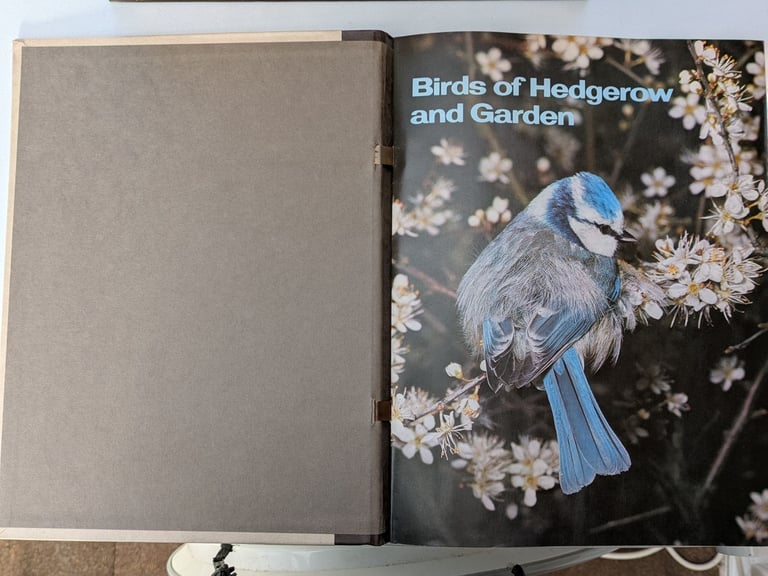 Birds Encyclopedia