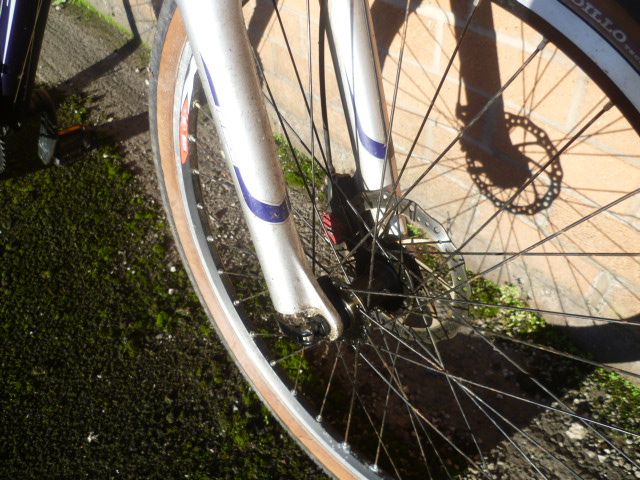 Large mountain bike-Specialized
