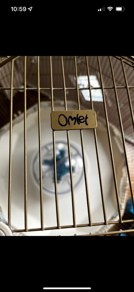 Omlet bird cage and stand