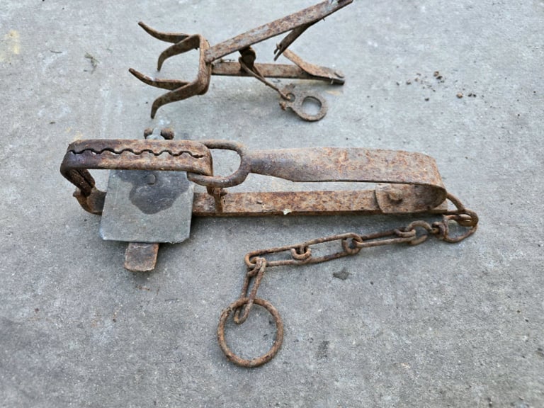 Vintage Gintrap and mole trap