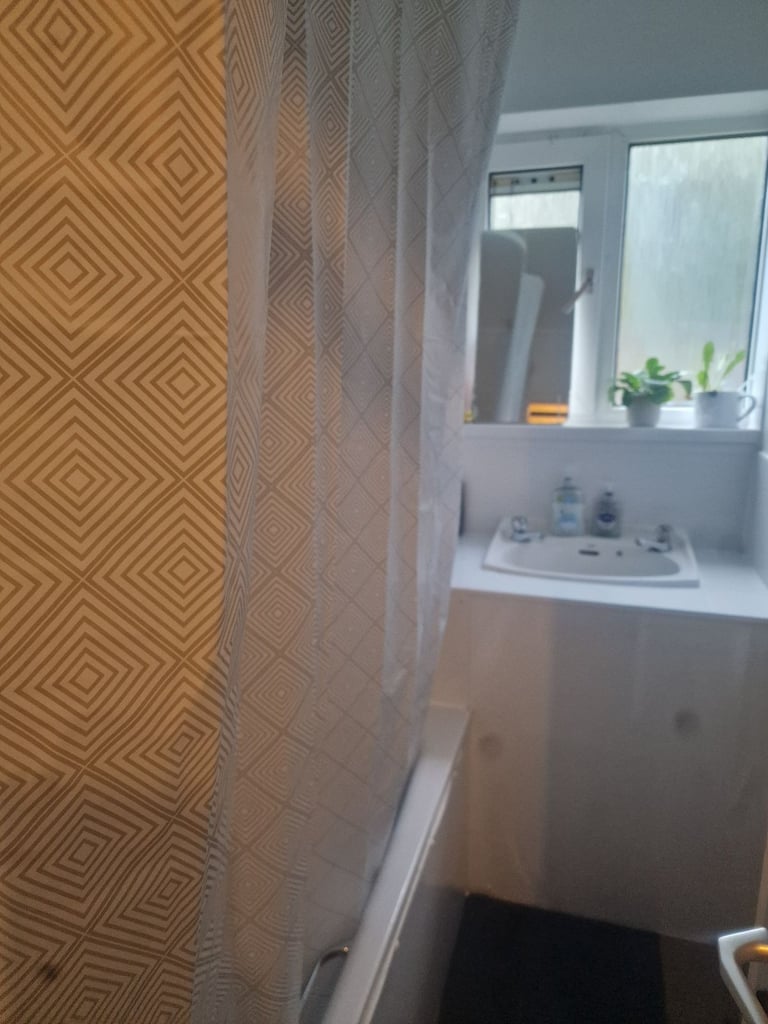 I am looking for a lodger 