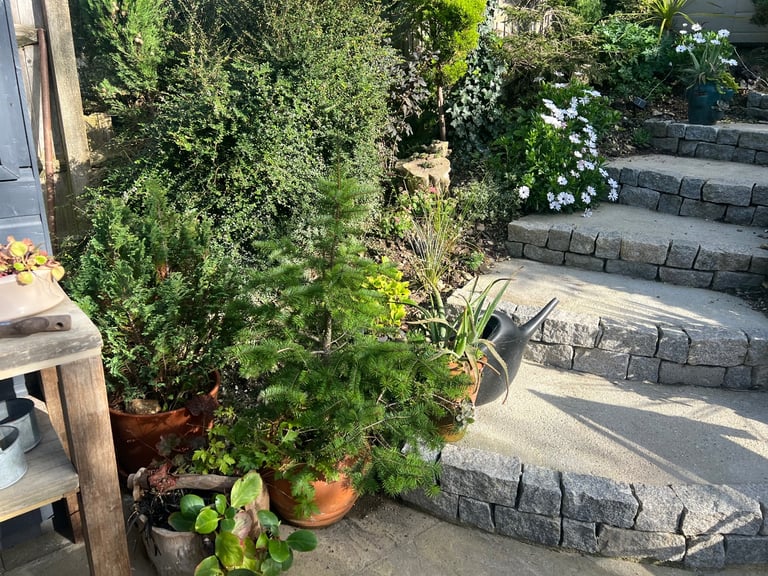 Swap council house Brighton 