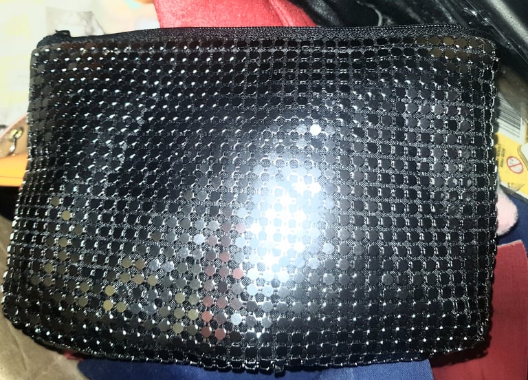Silver Sequinned Makeup/Clutch Bag