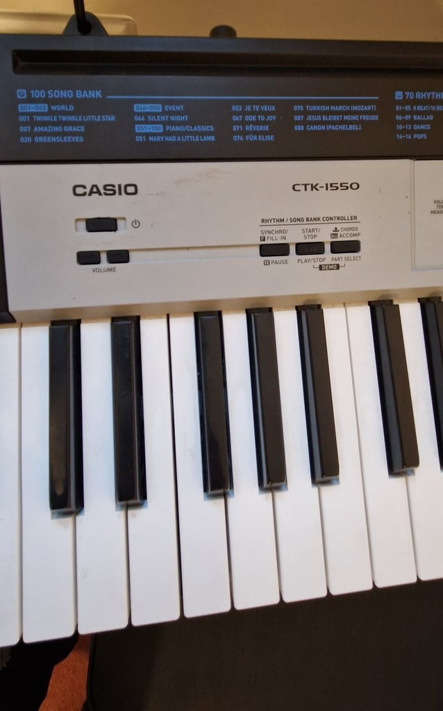 Piano Keyboard Casio