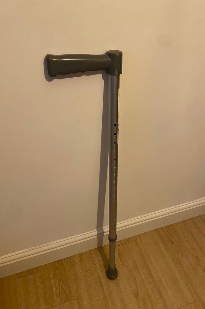 Walking stick FREE