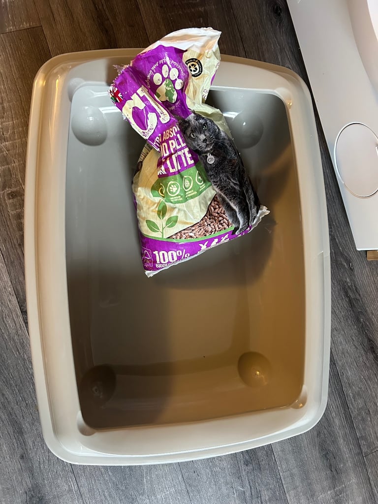 Cat litter tray + free wood pellet litter