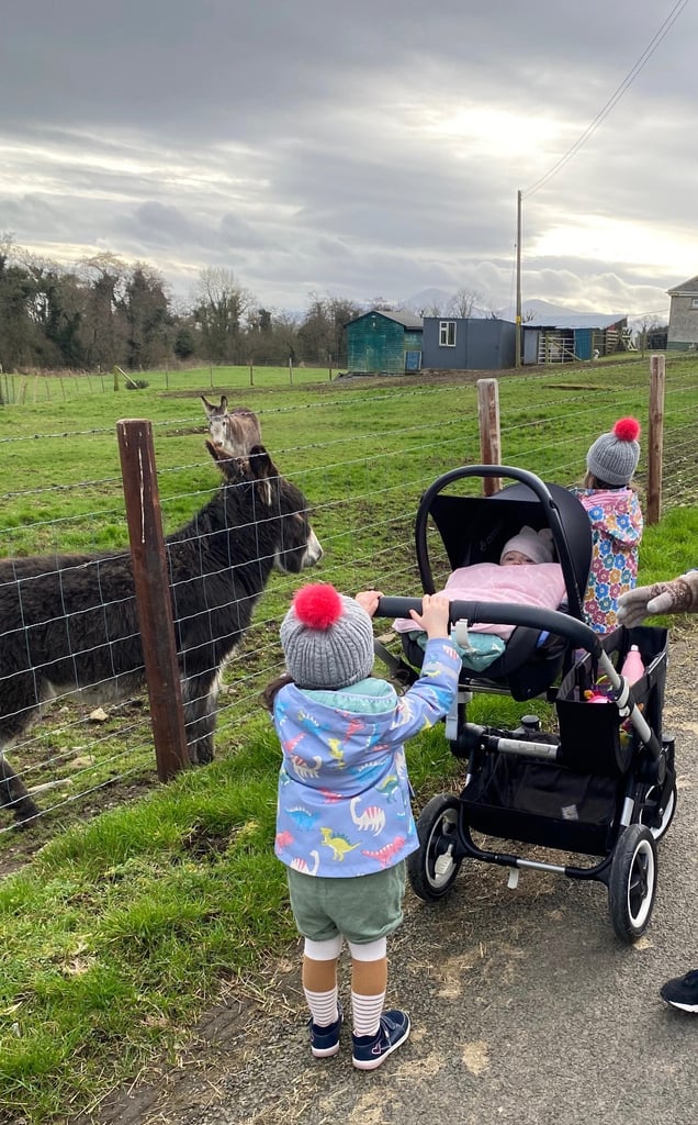 Bugaboo Donkey mono / duo