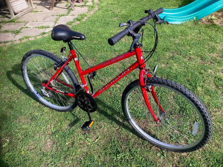 Girls trail breaker mountain bike 