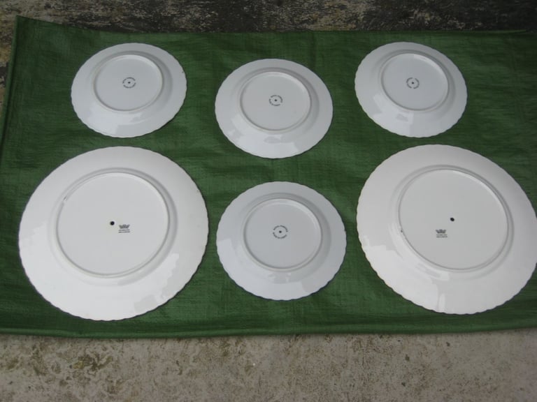 2 Large Cake and 4 Smaller Fine Bone China Plates of Similar Rose Pattern for Only £5.00