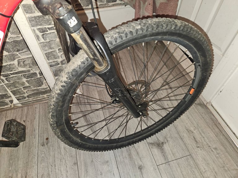 Specialized Rockhopper mountain bike