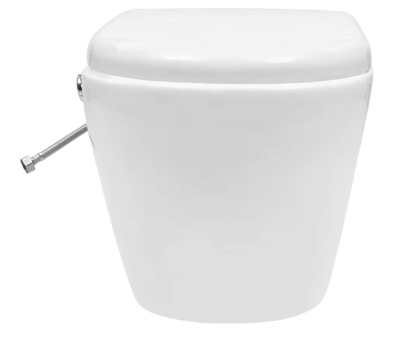 Bidet toilet