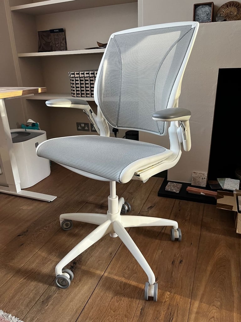 Humanscale Diffrient World Chair
