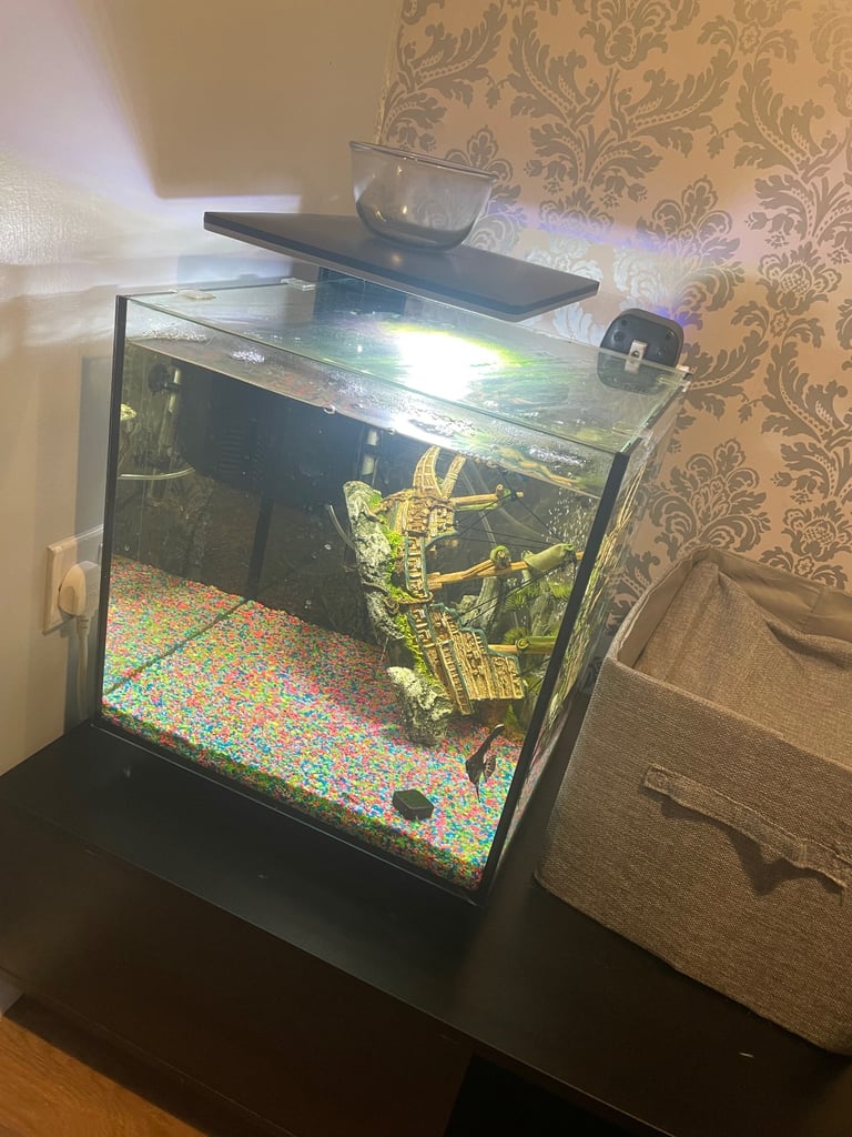 60L fish tank 