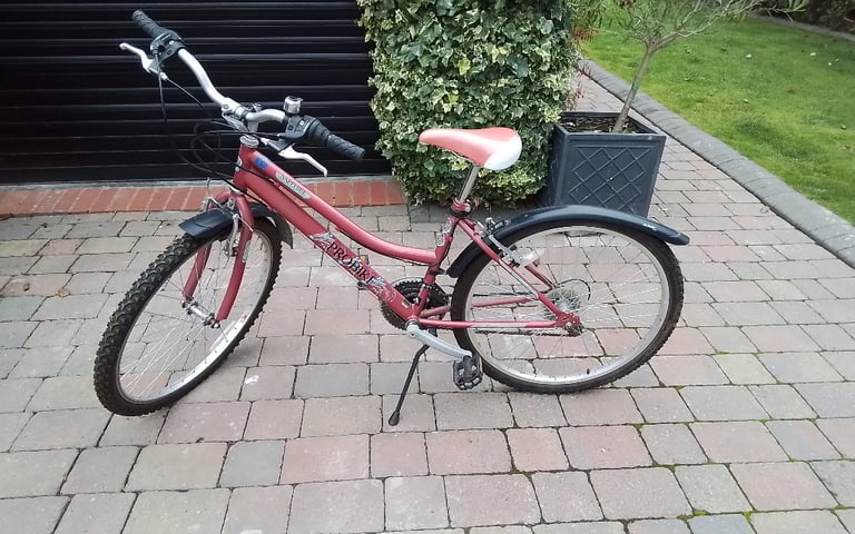 Probike Saphire 16" bike, excellent condition.