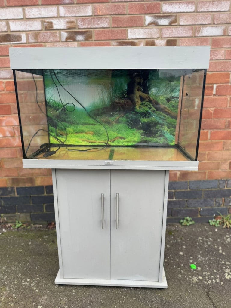 Juwel Rio 125 grey fish tank aquarium tropical setup delivery 🚚