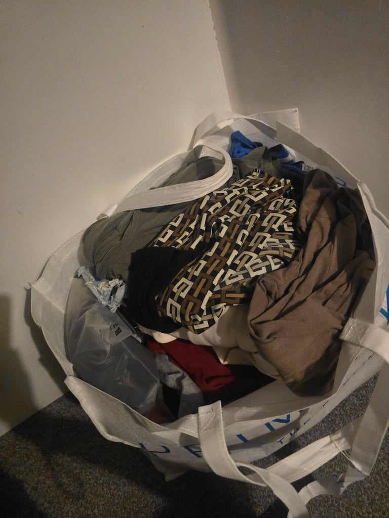 FREE large bag womens clothes size 12