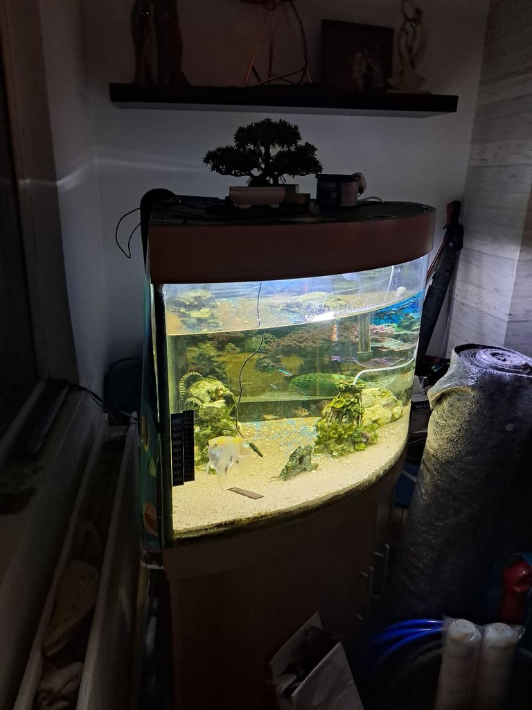 Fish tank