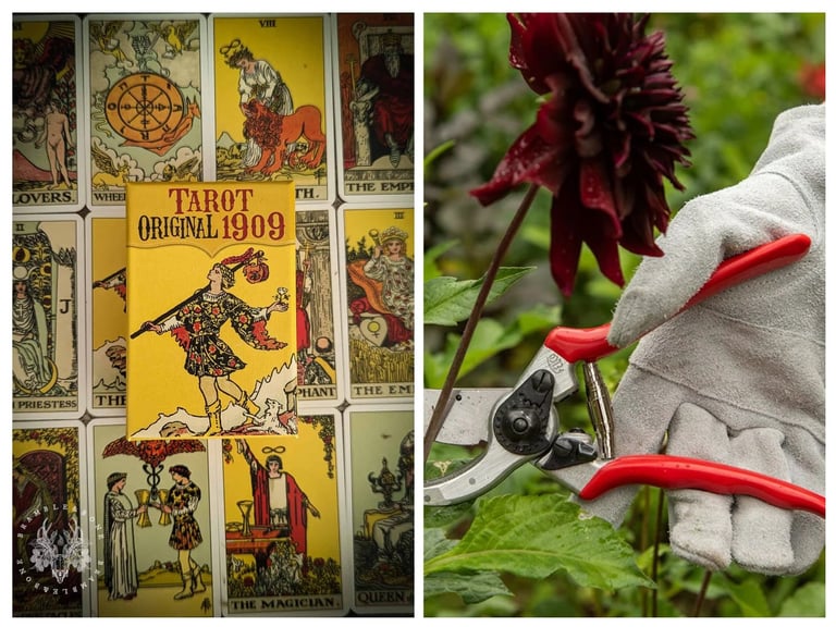 My intuitive tarot readings in exchange for small garden (30 foot) clearance
