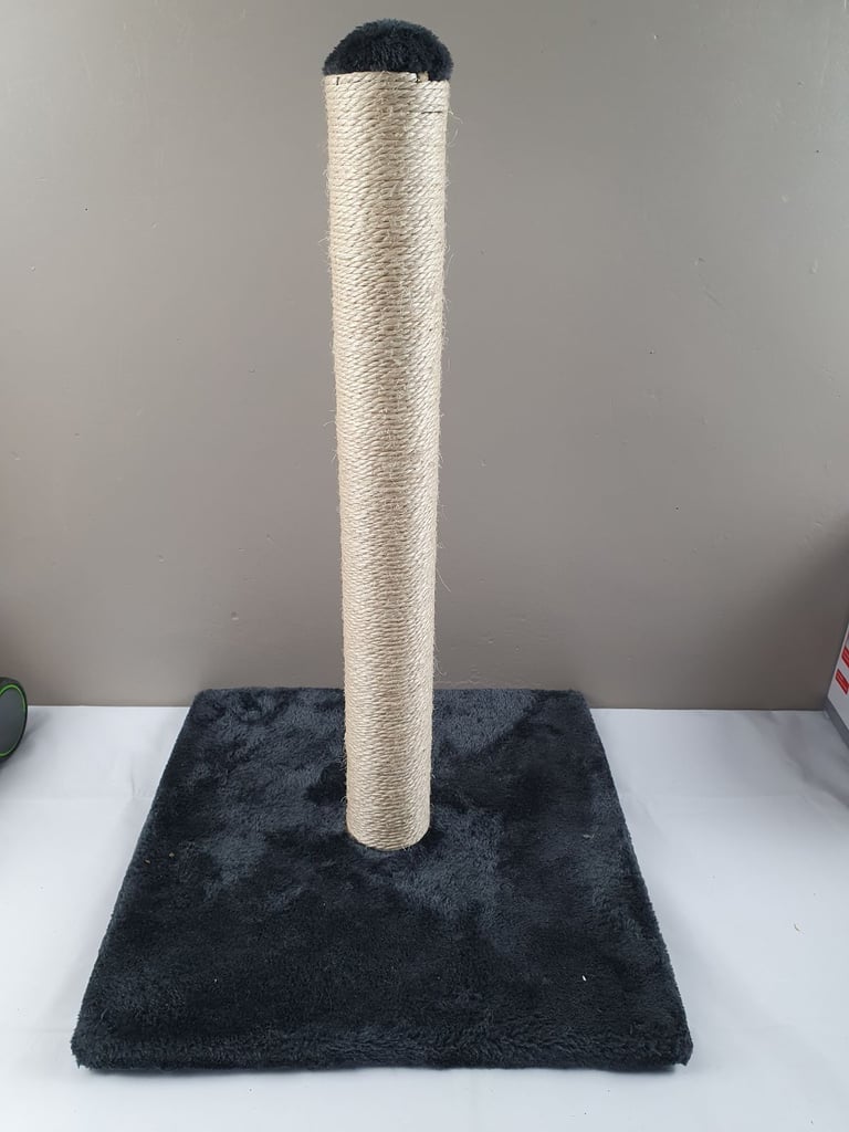 image for Cat scratch post 