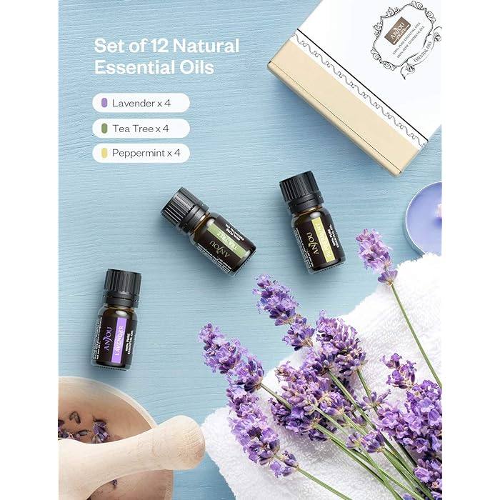 Diffuser & Body Aromatherapy Essential Oils 12pc Gift Set 