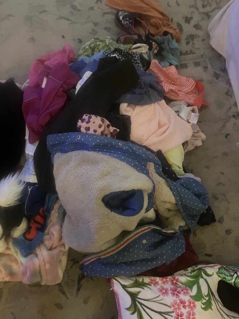 Large pile of 2-3 year girls clothes 