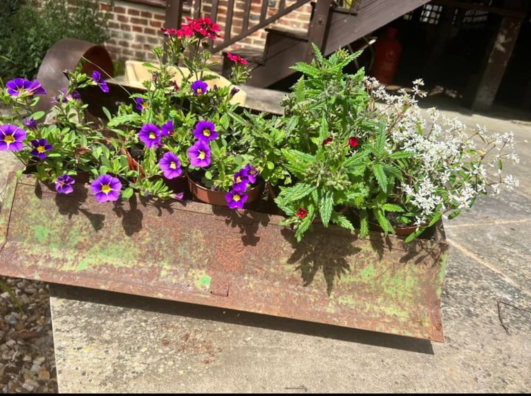 image for vintage metal tool box planter ornament herb garden pot planter