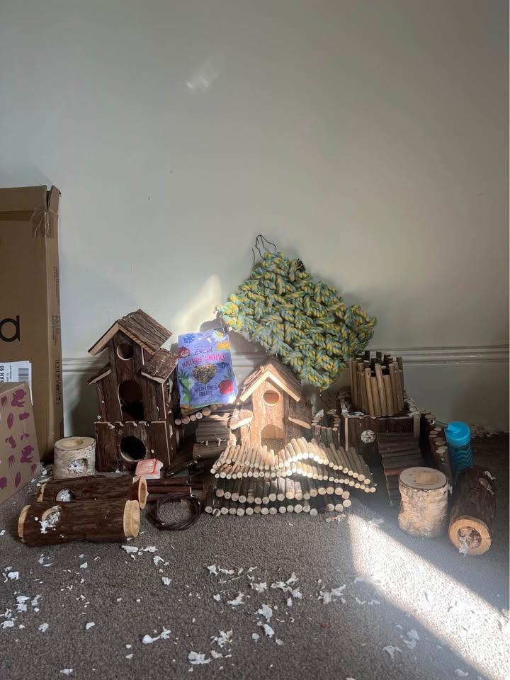 SOLD Rodent Hamster Rat Gerbil Mouse Accessories