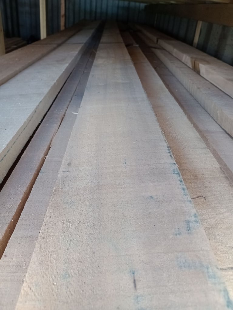 American tulip wood boards 