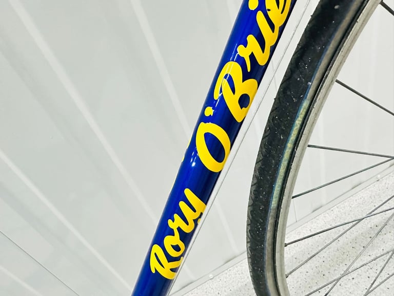 RORY O BRAIN Size/54 cm 12 Speed Index Gears Fully Serviced Warranty