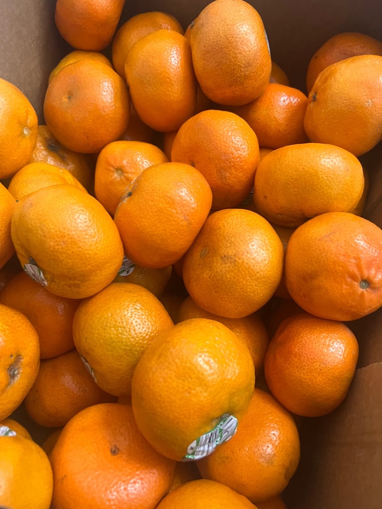 image for Fresh oranges