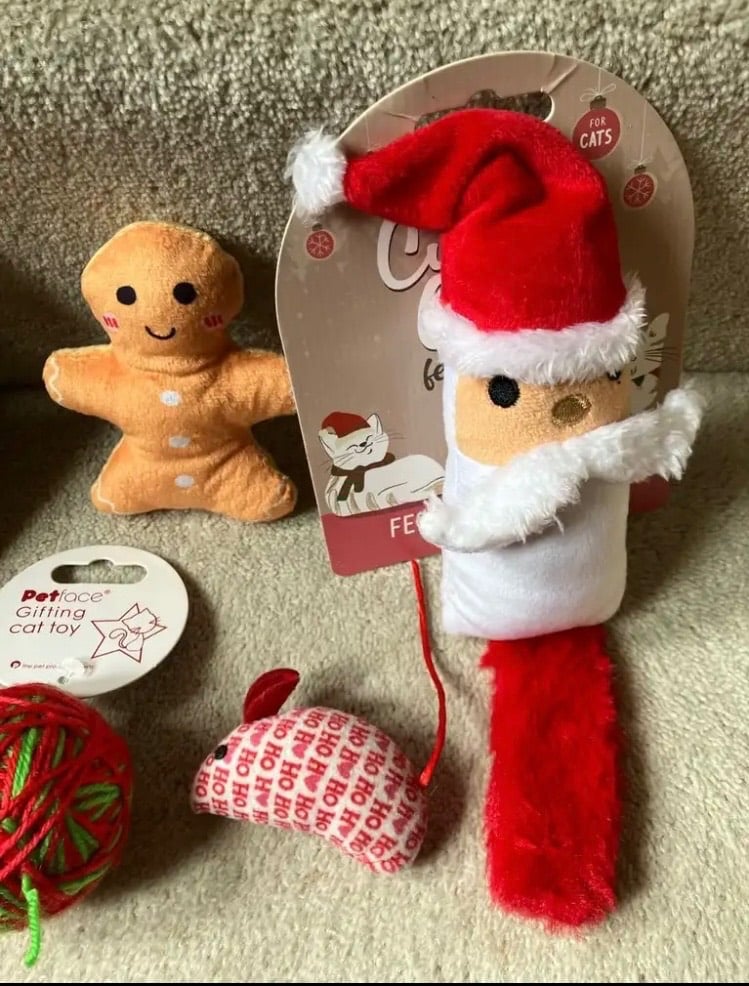 Cupid & Comet pet Christmas Blanket/Webbox bungee toys and other cat toys and teasers